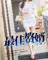 最佳赘婿最佳赘婿